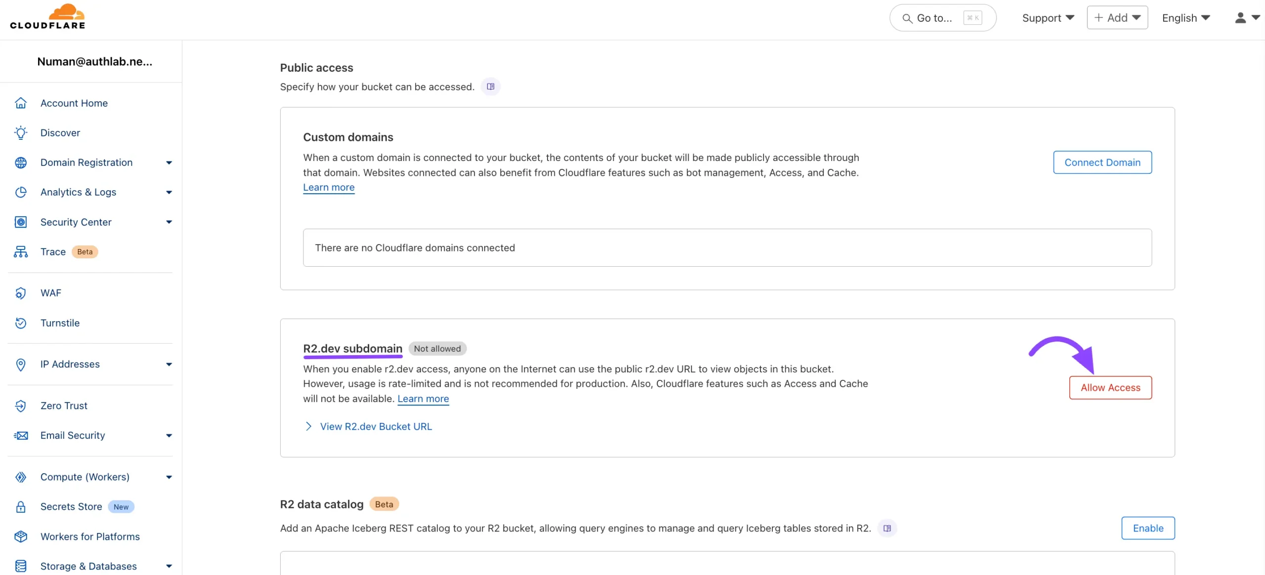 r2 dev subdomain 06
