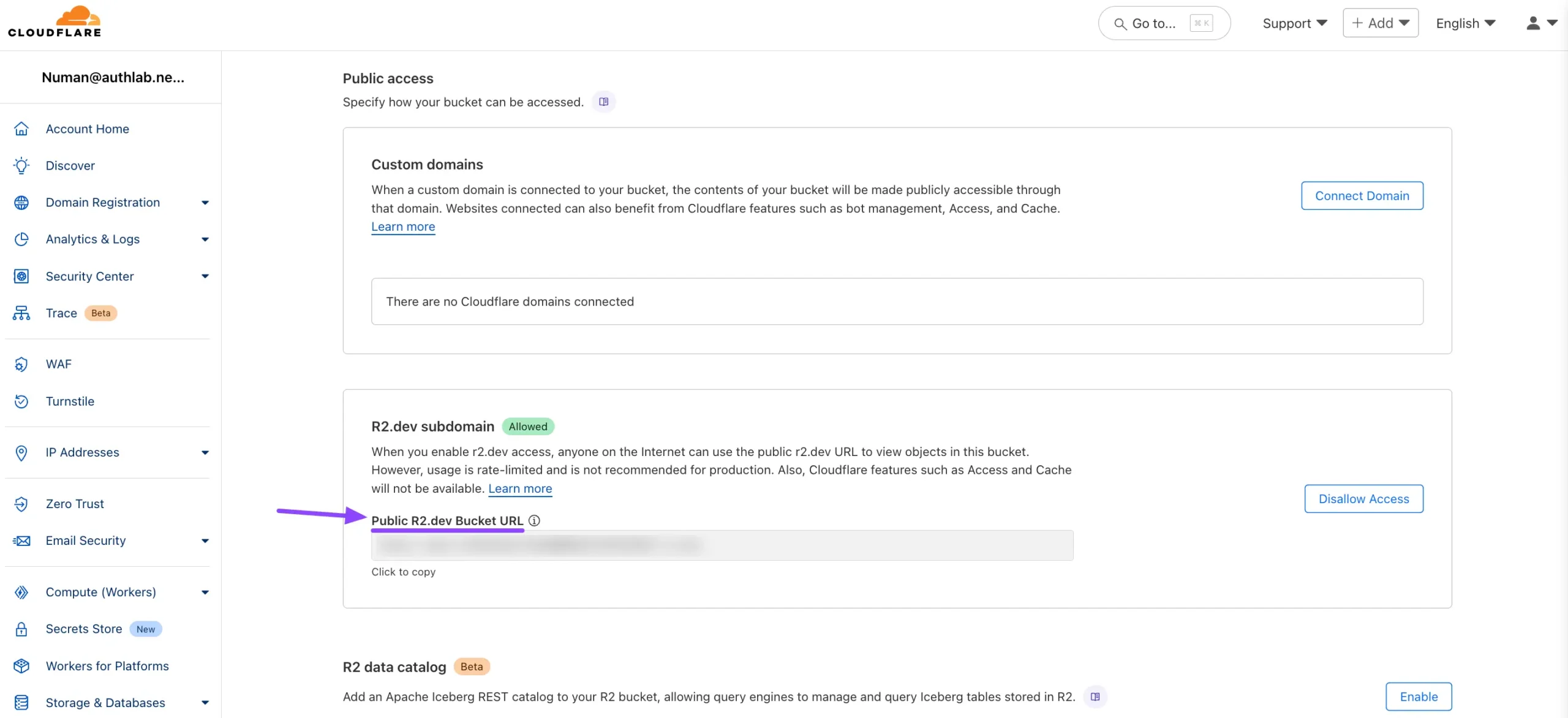 public r2 subdomain url 07