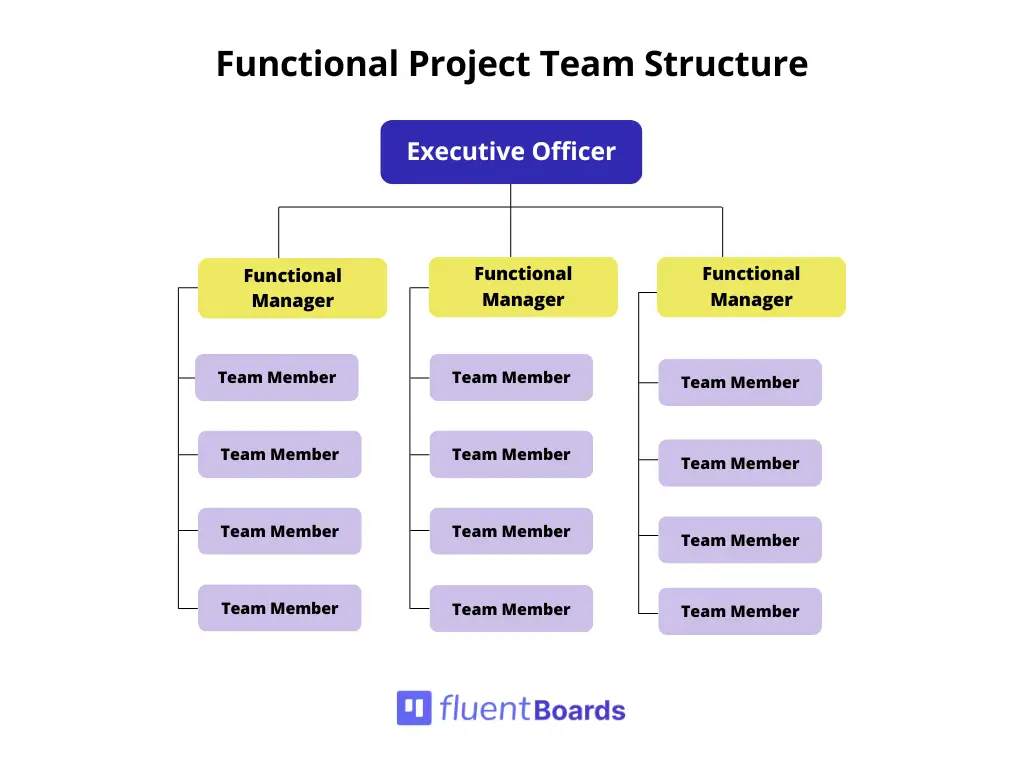 Project Team Structure: Functional project team structure