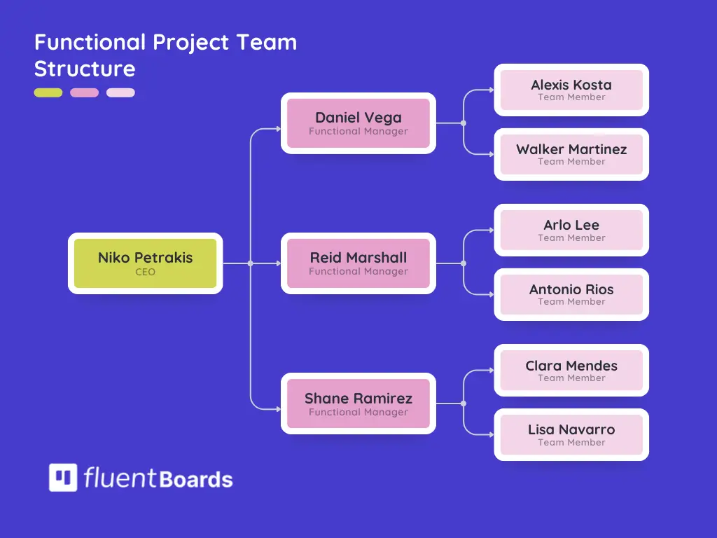 Functional project team structure